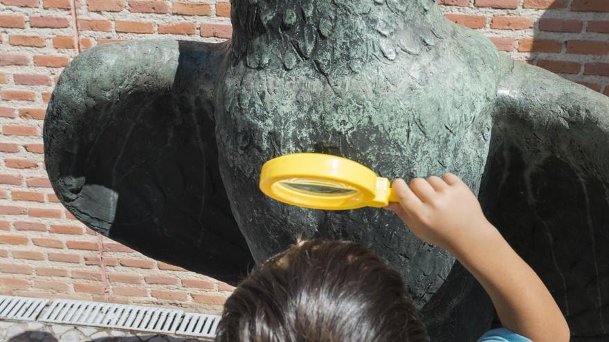 recorridos urbanos Miguitas