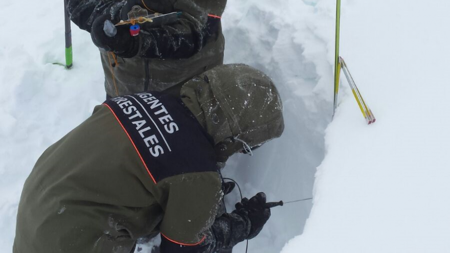 La Comunidad de Madrid despliega medio centenar de sondeos en la nieve para evaluar su estado y prevenir el riesgo de aludes Agentes Forestales realizan sondeos en la nieve para prevenir aludes