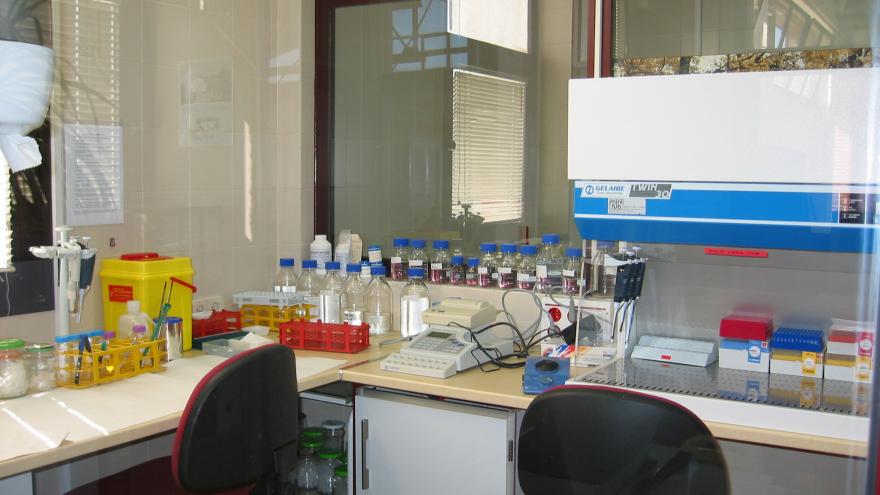 Primer plano laboratorio CENSYRA