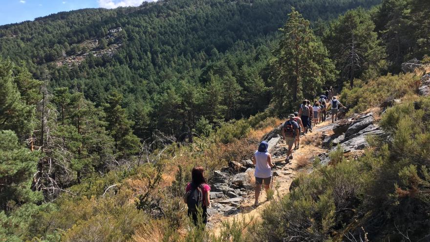 Laderas arboladas de pino, y senda de tierra con excursionistas en hilera 