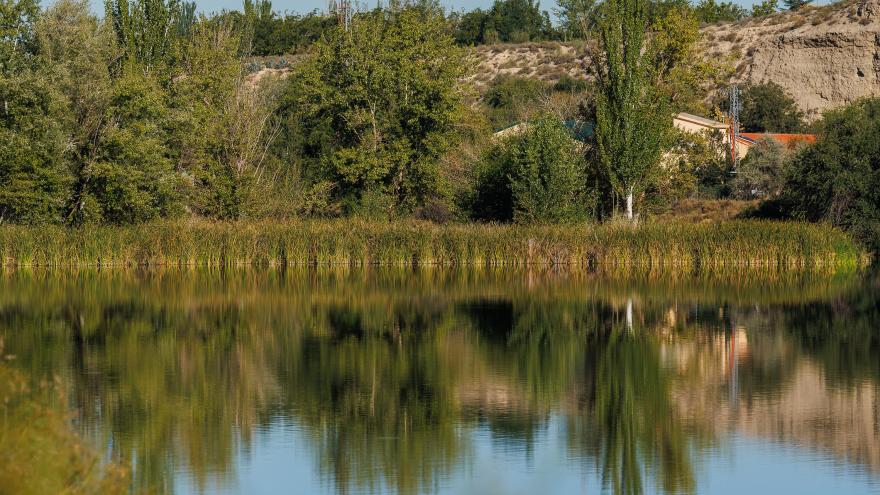 Lagunas Campillo