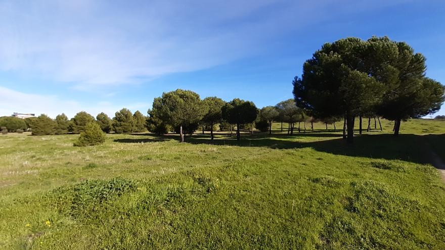 Parque Periurbano La Cantueña vista