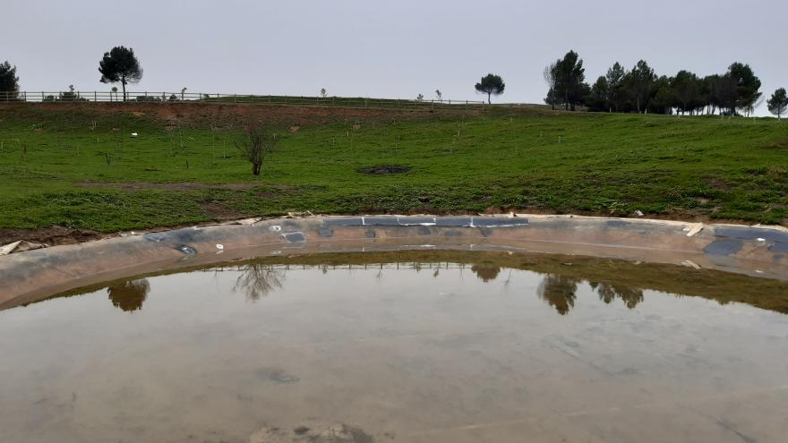 Parque Periurbano La Cantueña charca