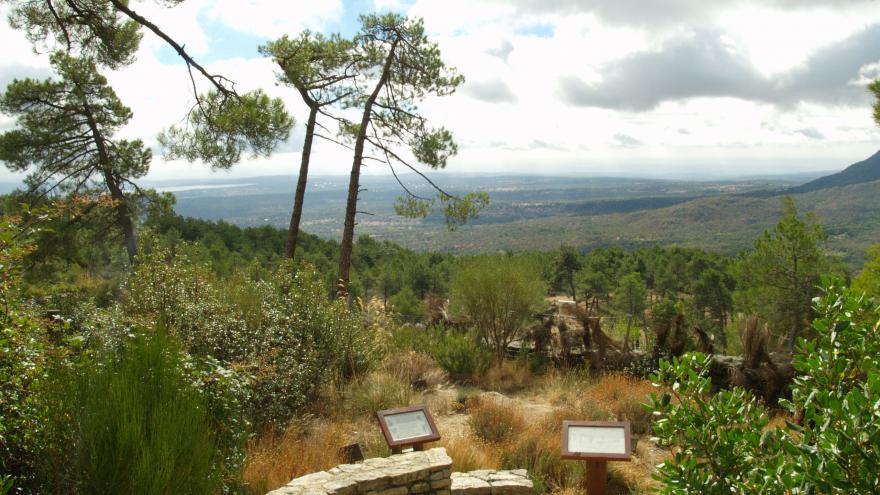 Camino en el Centro de Educación ambiental Arboreto Luis Ceballos