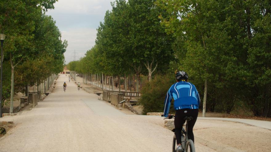 Paseo principal del Parque Polvoranca