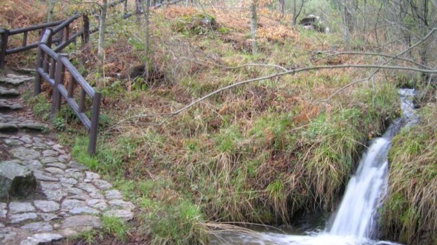 Paseo por el Centro de educación ambiental Arboreto Luis Ceballos