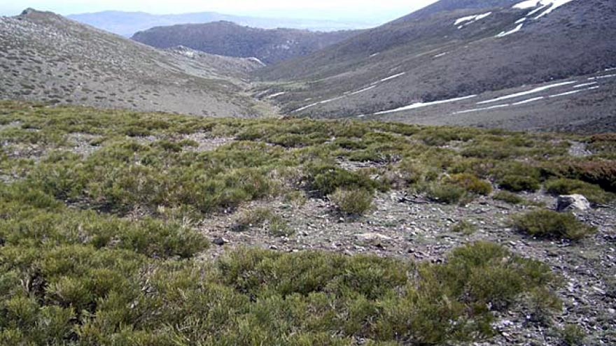 Senda del Puerto de la Morcuera a Alameda del Valle