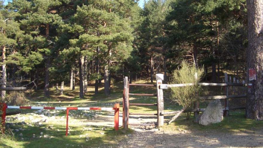 Senda Puerto de Navacerrada - Siete Picos - Cercedilla