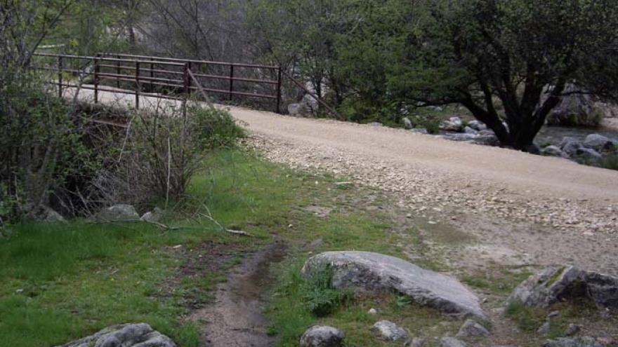 Senda del Puerto de Navacerrada a Canto Cochino