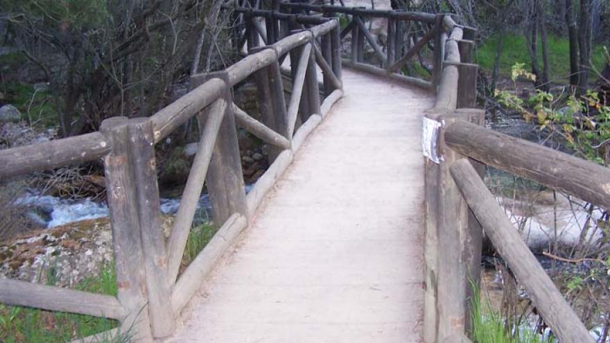 Senda del Puerto de Navacerrada a Canto Cochino