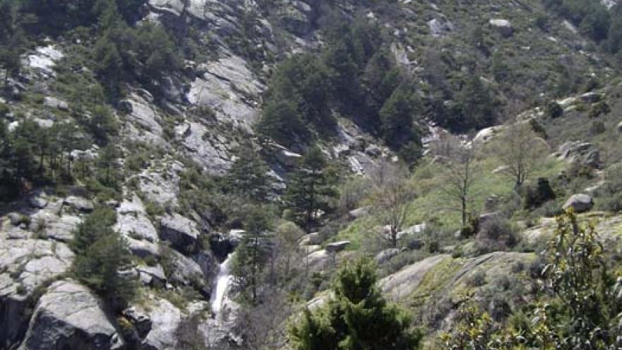Senda del Puerto de Navacerrada a Canto Cochino