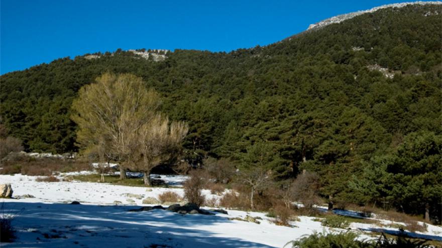 Senda GR 10 de la Peñota al Puerto de los Leones