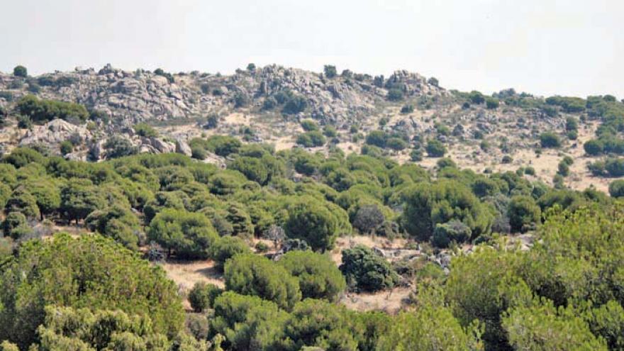 Senda de Torrelodones a Galapagar y Colmenarejo - R6