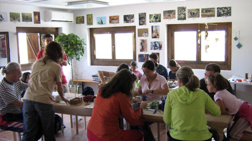 Imagen del interior del taller con grupo de personas trabajando en una mesa, las paredes cubiertas de fotos de animales