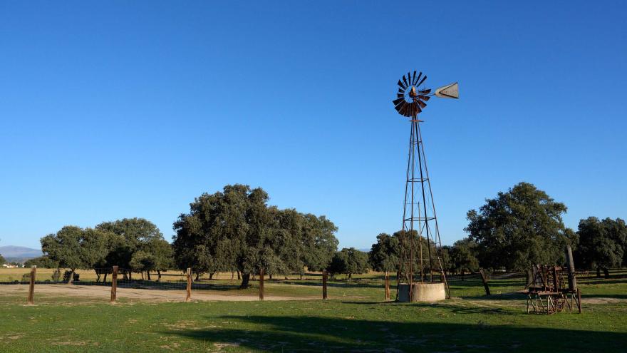 PR Guadarrama - Dehesas de Brunete