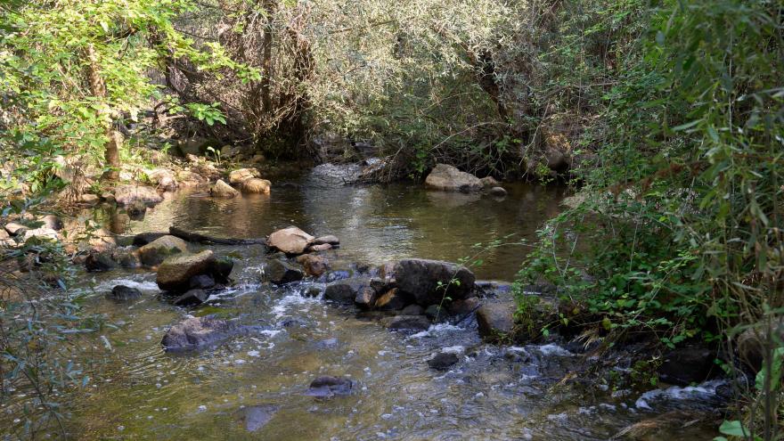 PR Guadarrama - Presa El Gasco
