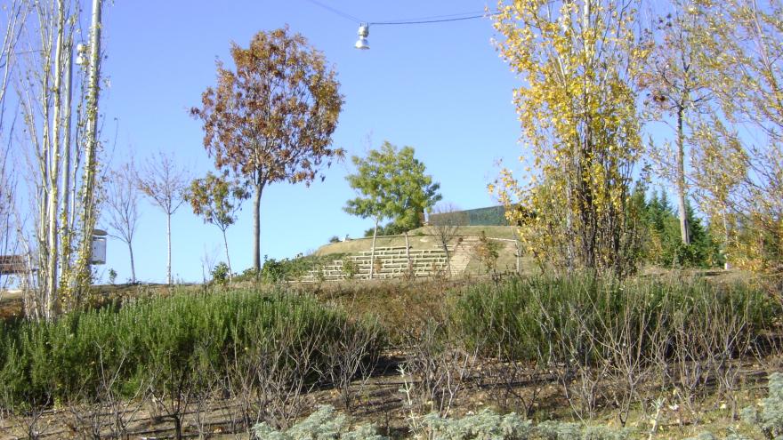 Imagen del Parque Forestal de Valdebernardo