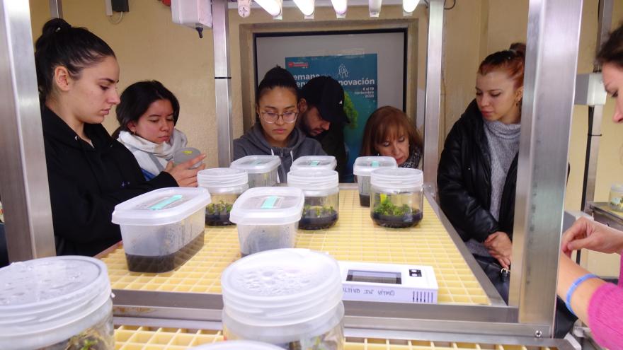 Personas en camara de frio viendo cultivo in vitro