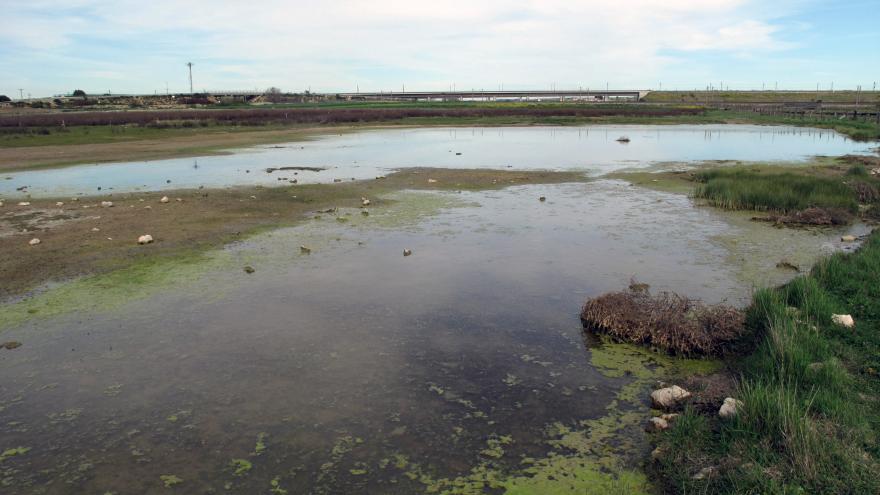 Foto de Encharcamientos del arroyo Guatén