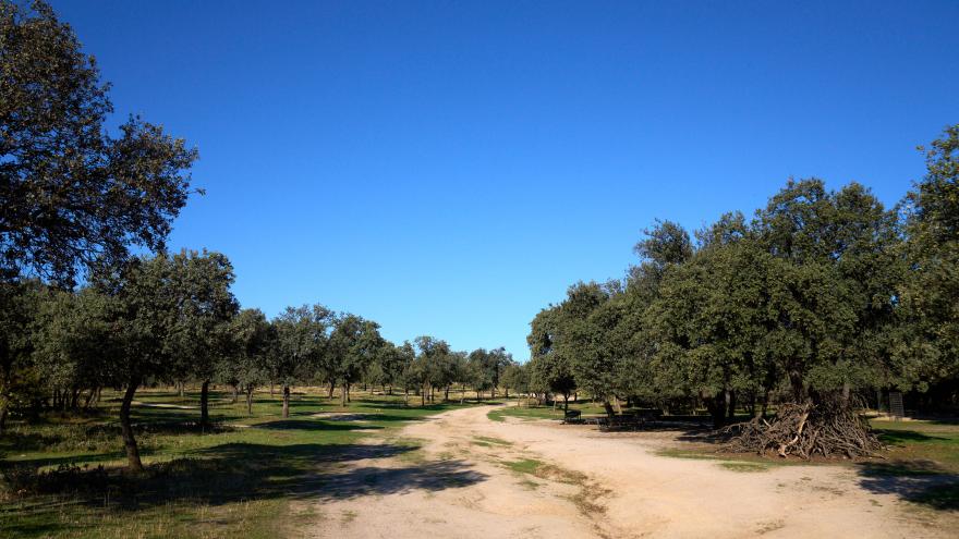 La Dehesa