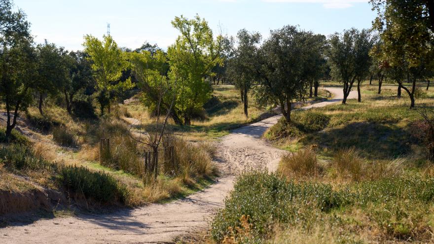 La Dehesa