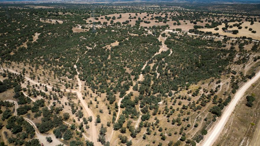 La Dehesa