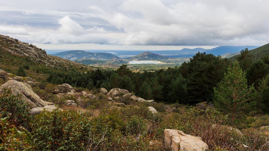 La Barranca