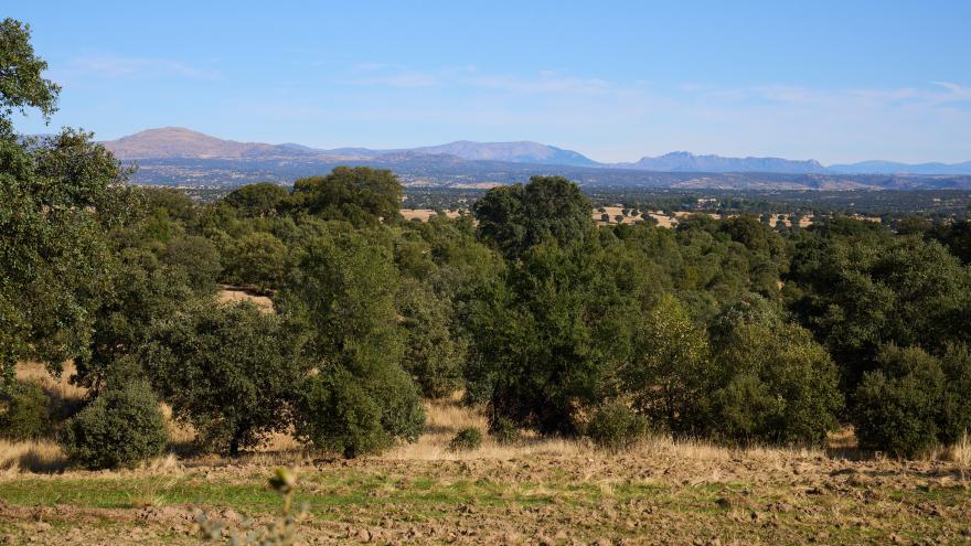 Soto Viñuelas