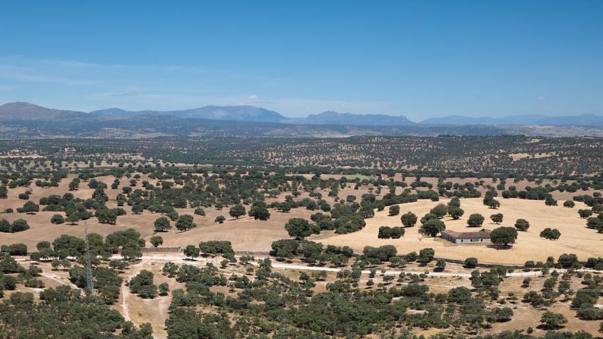 Soto Viñuelas