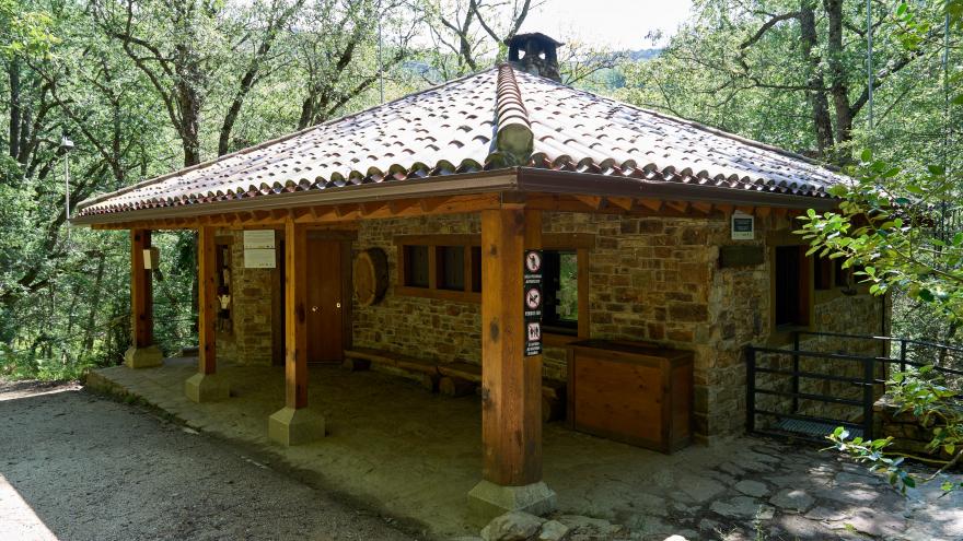 Hayedo de Montejo
