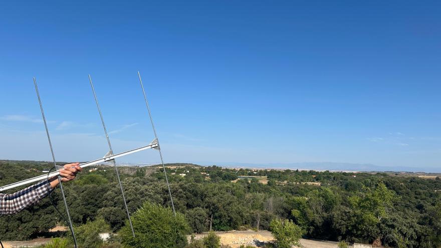 vista de campo