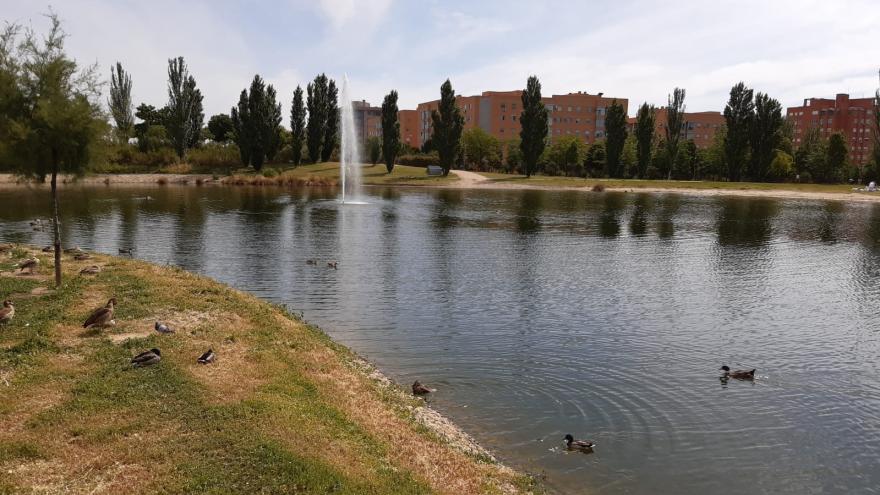 Imagen del Parque Forestal de Valdebernardo