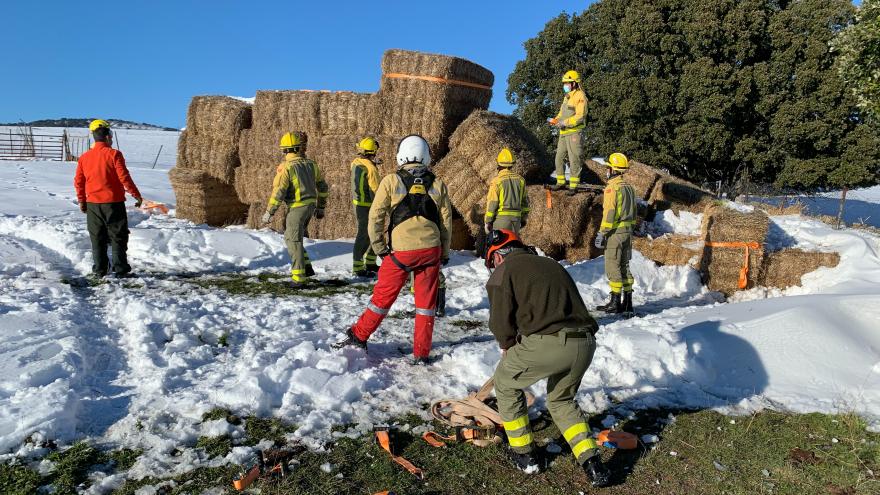 operación por vía aérea para alimentar ganado