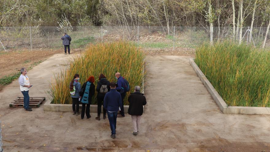 parcelas de ensayos con plantas usadas para depuración de suelos