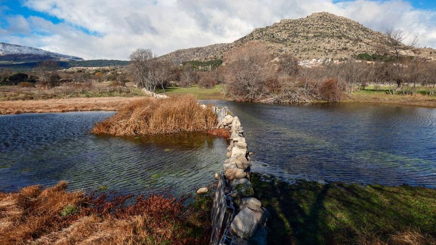 Foto de Laguna de la Grulla