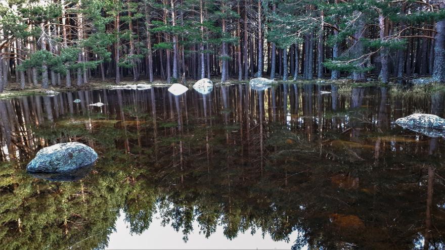 Foto de Lagunilla del Lomo