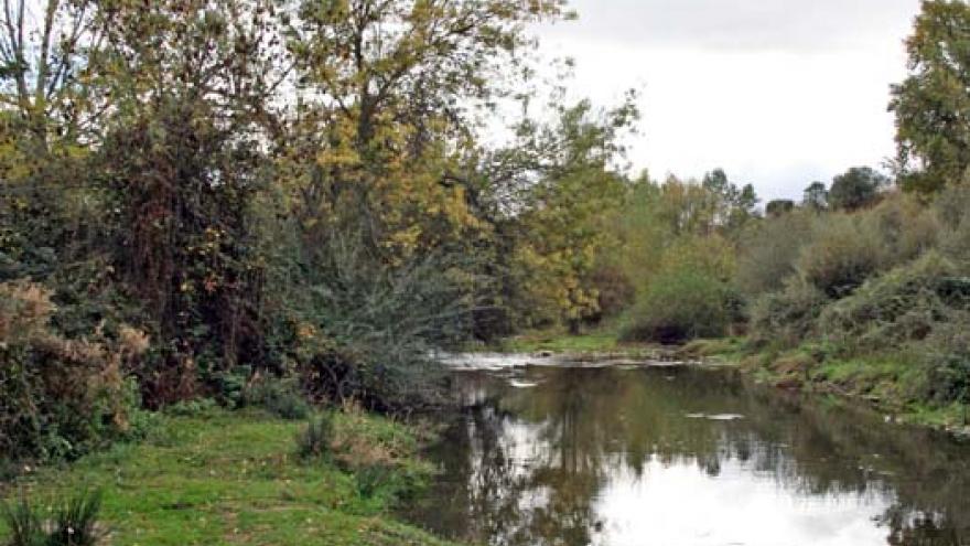 Senda de Villanueva del Pardillo al Puente del Retamar - R15