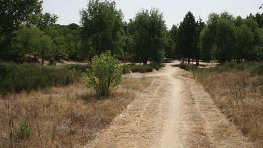 Senda circular de Villaviciosa de Odón y El Sotillo - R24