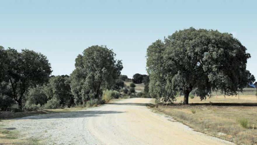 Senda de Brunete a Navalcarnero por el Río Guadarrama - R27