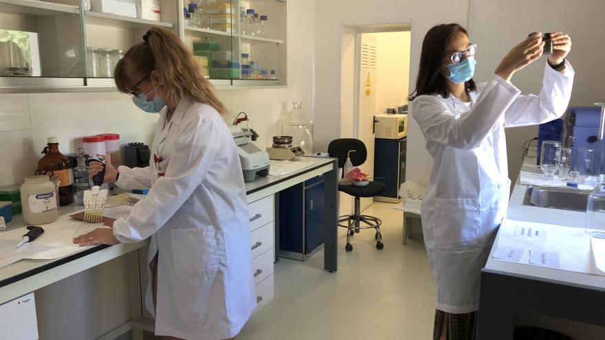 Investigadoras del IMIDRA