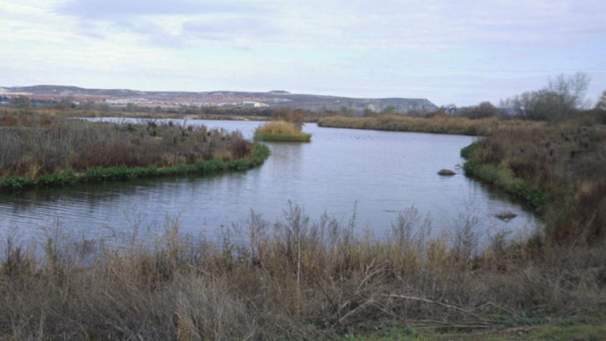 Senda "Paseo por el Soto de Las Juntas"