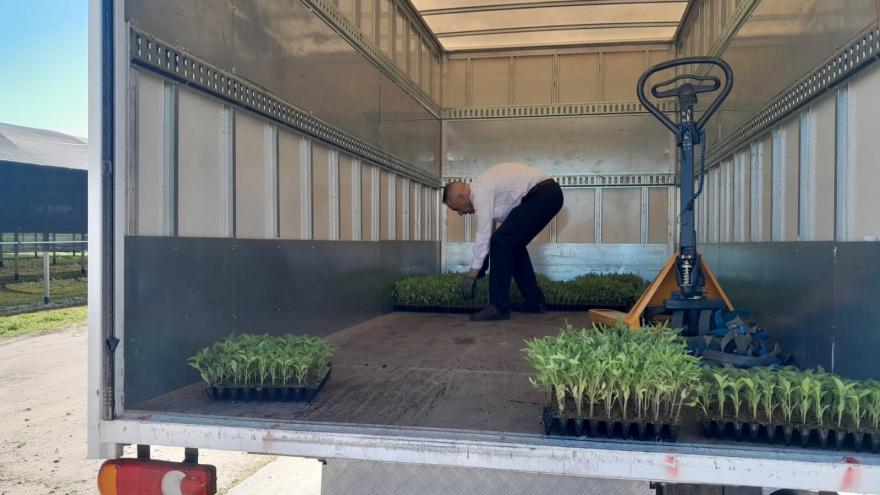 Reparto de variedades hortícolas del IMIDRA
