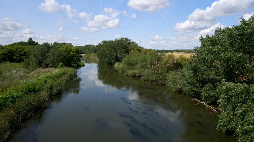 Río Jarama