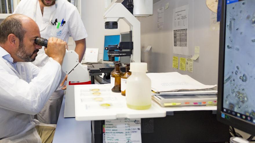 Rollán visita el laboratorio central de Canal, que realiza cada año más de 530.000 análisis del agua de consumo 