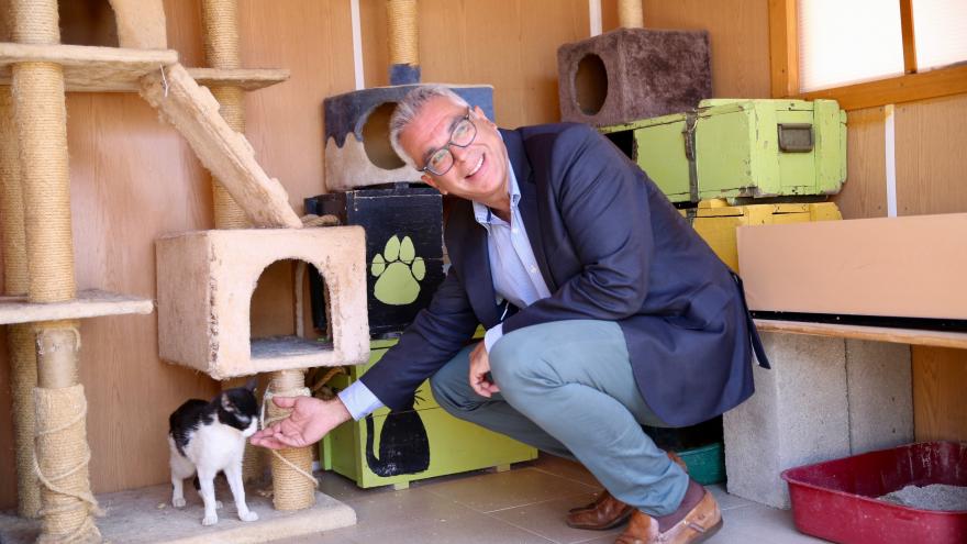 Carlos Izquierdo presenta la campaña ‘Vacaciones para todos, mi mascota siempre conmigo’