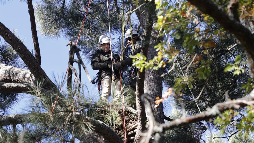 El consejero Carlos Novillo con el Grupo de Intervención en Altura del Cuerpo regional de Agentes Forestales