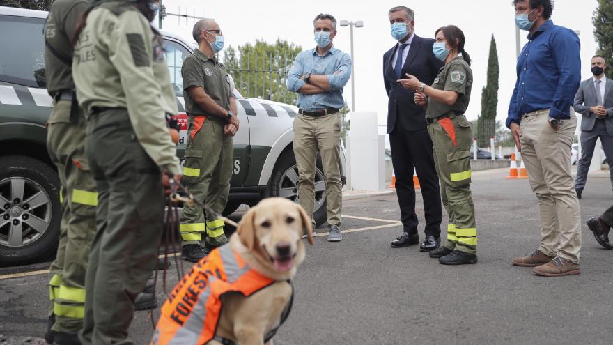 Presentación de la Memoria de investigación de incendios forestales del año 2019