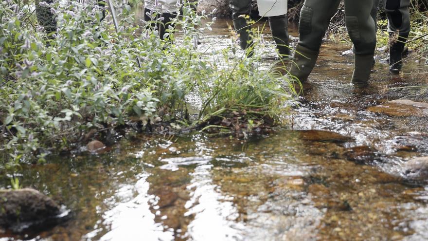 La Comunidad de Madrid inicia la campaña anual de censos y acciones de rescate de fauna piscícola en los ríos trucheros