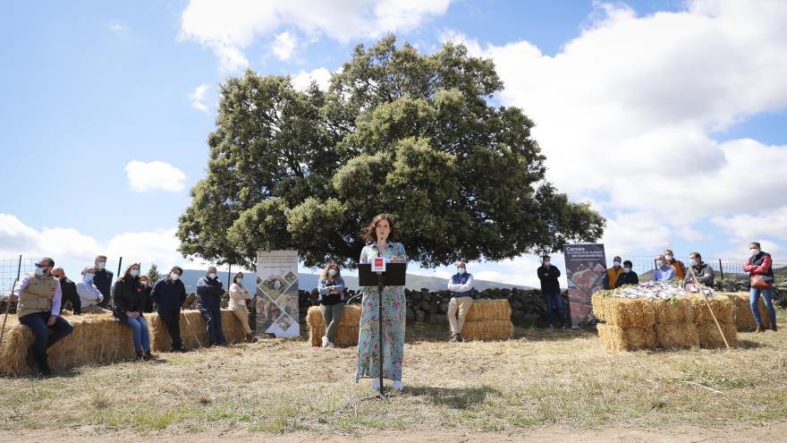 Isabel Díaz Ayuso en la presentación de un proyecto de comercio online lanzado por jóvenes ganaderos de la Sierra Norte 