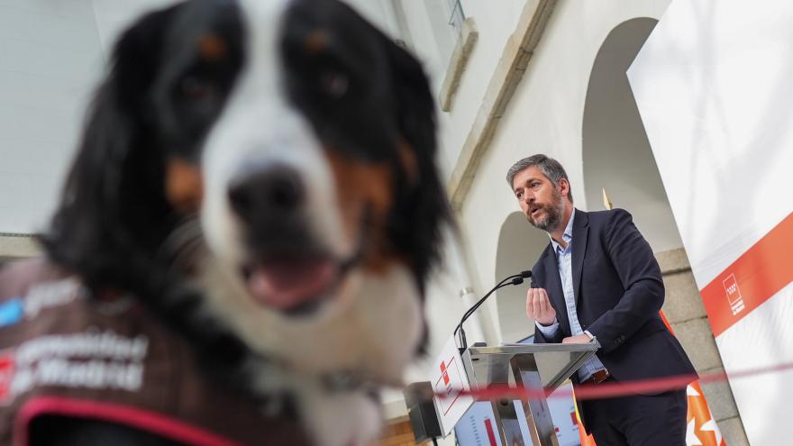 El consejero Miguel Ángel García Martín durante la presentación de la memoria anual del Programa de Perros de Apoyo a Menores en juzgados